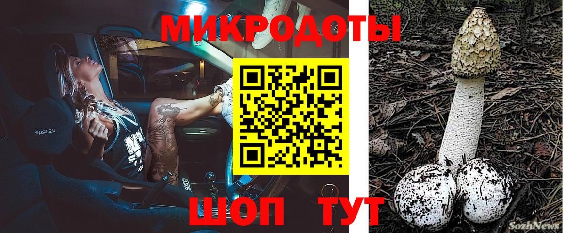 Псилоцибиновые грибы ЛСД  Вход с VPN  купить   Пугачёв 